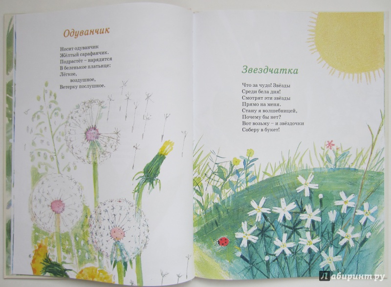 Иллюстрация 30 из 69 для Наши цветы - Екатерина Серова | Лабиринт - книги. Источник: Пирогова  Ольга