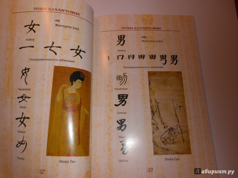 Иллюстрация 10 из 21 для Китайская живопись и каллиграфия. Уроки для начинающих (+DVD) - Жуй, Утянская | Лабиринт - книги. Источник: Леан