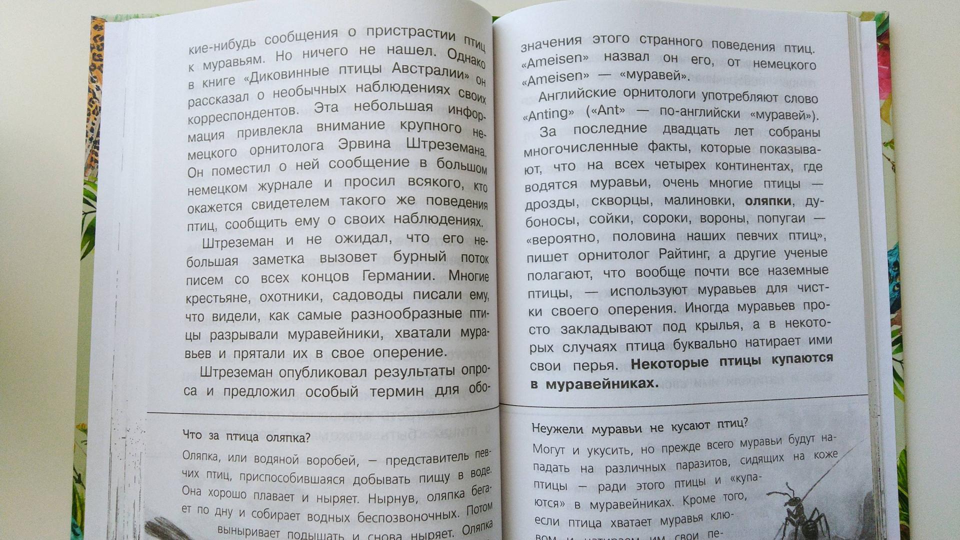 Иллюстрация 22 из 38 для Рассказы о любимых животных. С вопросами и ответами для почемучек - Игорь Акимушкин | Лабиринт - книги. Источник: Кузеванова  Ирина