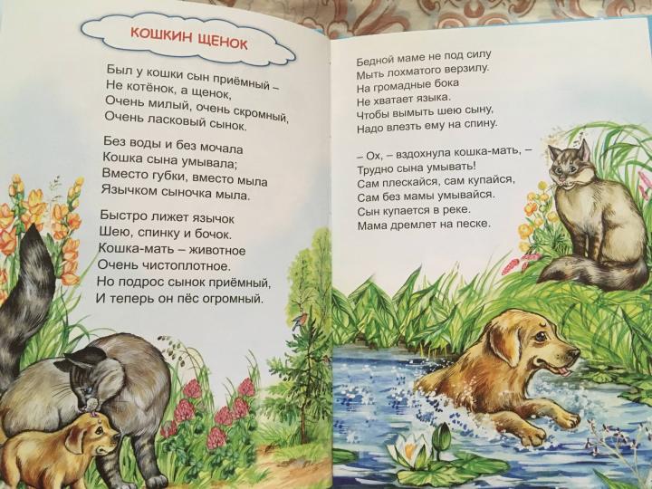 Берестов В Магазине Игрушек Читать Берестов В Магазине Игрушек Читать