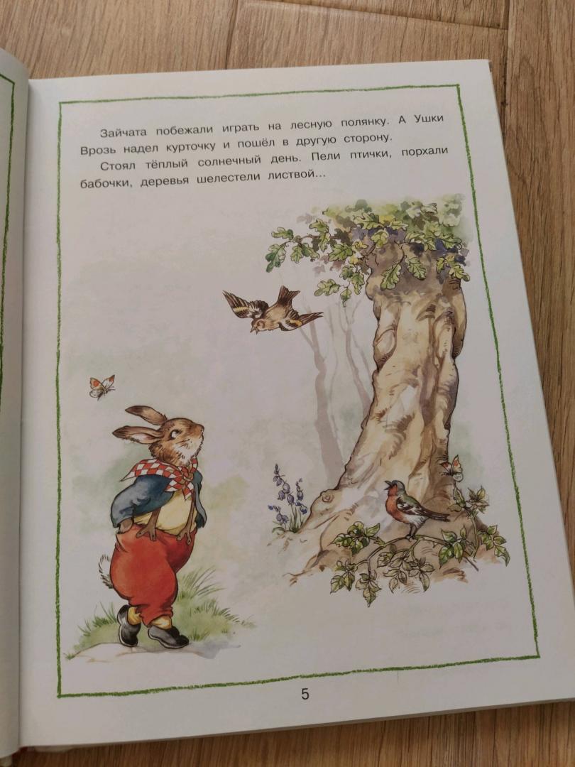 Иллюстрация 102 из 118 для Лесные истории - Рене Клок | Лабиринт - книги. Источник: Сохач Екатерина