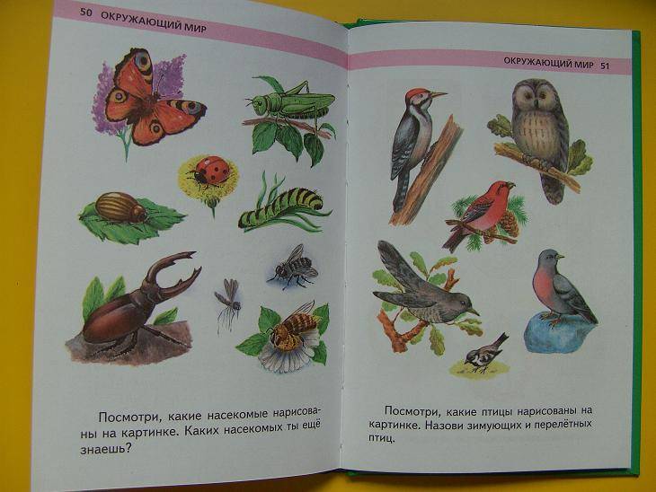Иллюстрация 2 из 17 для Игры и задания на готовность к школе ребенка 6-7 лет - Юлия Соколова | Лабиринт - книги. Источник: мама малыша