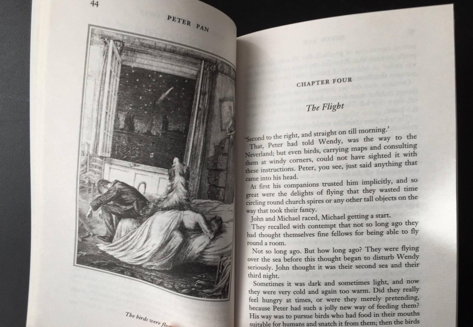 Иллюстрация 28 из 47 для Peter Pan - James Barrie | Лабиринт - книги. Источник: u_p