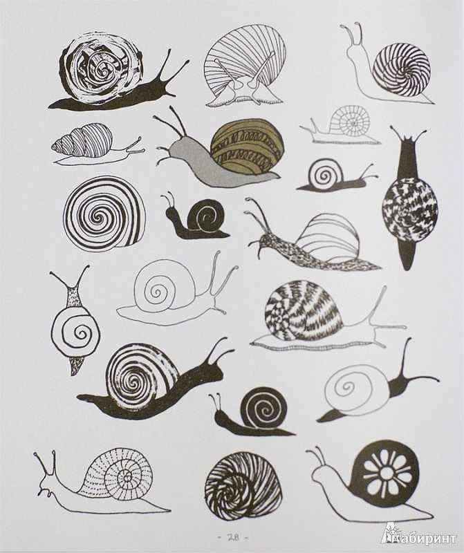 Иллюстрация 7 из 42 для 20 способов нарисовать дерево и другие 44 чуда природы - Элоиз Ренуф | Лабиринт - книги. Источник: mangust