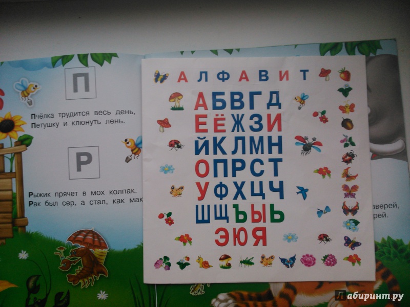 Иллюстрация 2 из 3 для СУПЕРАЗБУКА. Самая необыкновенная книга. 400 наклеек | Лабиринт - книги. Источник: Анненкова  Анна