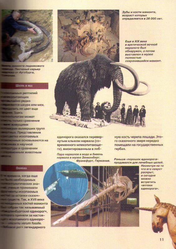Иллюстрация 4 из 4 для Древние млекопитающие - Кристиан Шпает | Лабиринт - книги. Источник: In@