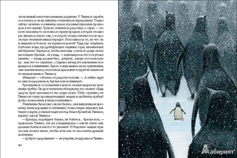 Иллюстрация 9 из 57 для Путешествие на Тандадрику - Витауте Жилинскайте | Лабиринт - книги. Источник: mif