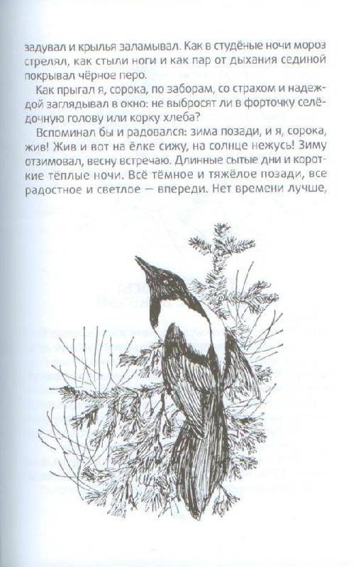 Иллюстрация 21 из 51 для Весенние радости - Николай Сладков | Лабиринт - книги. Источник: Осьминожка