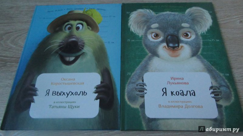 Книга коала. Коала с книгой. Книга я коала. Философия коалы книга.