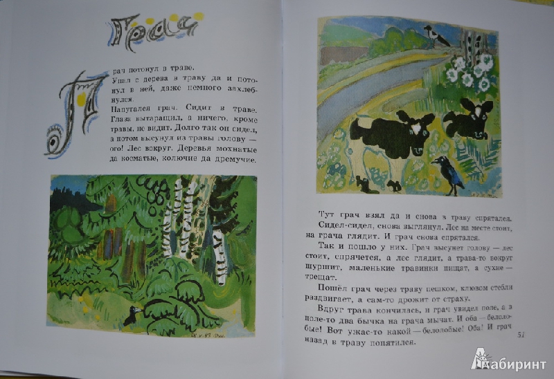 Иллюстрация 42 из 73 для Бабочки - Юрий Коваль | Лабиринт - книги. Источник: Irichka