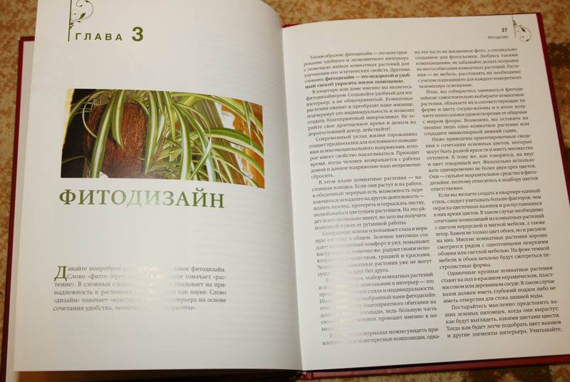 Иллюстрация 11 из 16 для Комнатные растения дарят здоровье - Николай Азарушкин | Лабиринт - книги. Источник: Кнопа2