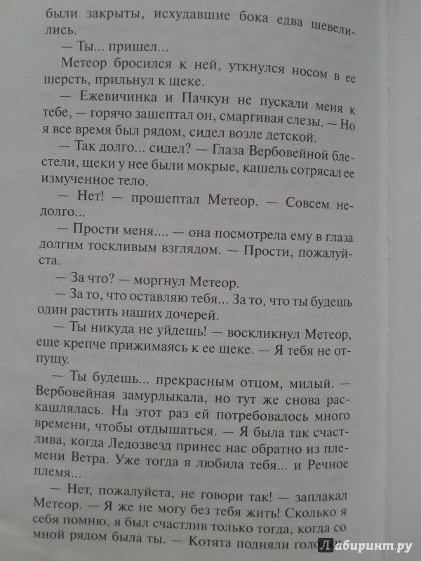 Иллюстрация 19 из 53 для Обещание Метеора. Прозрение - Эрин Хантер | Лабиринт - книги. Источник: Левендер Ту Ту