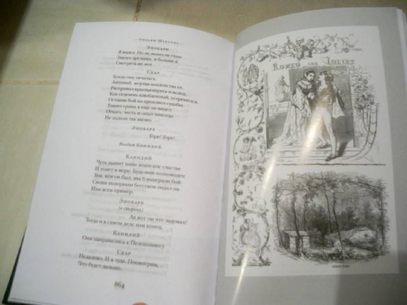Иллюстрация 11 из 18 для Трагедии - Уильям Шекспир | Лабиринт - книги. Источник: ЧК (Чеширский Кот)