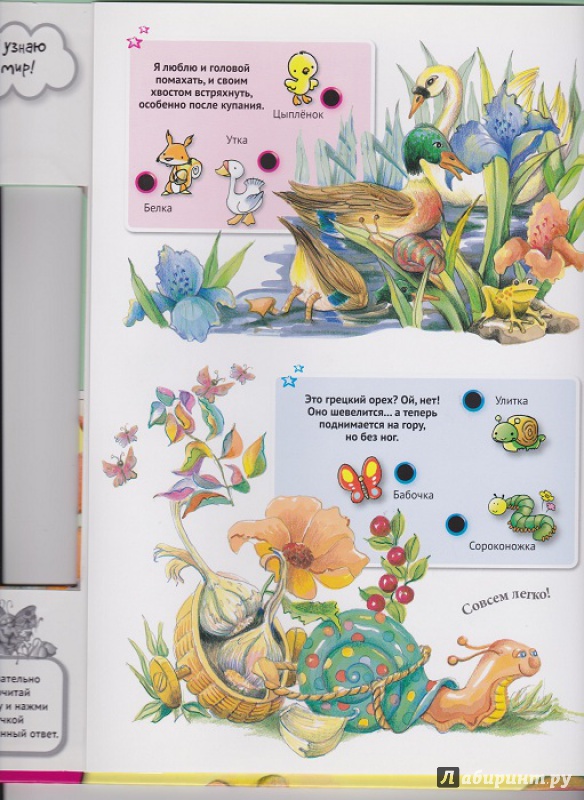 Иллюстрация 19 из 42 для Для малышей загадки о животных | Лабиринт - книги. Источник: Моисеева  Ирина
