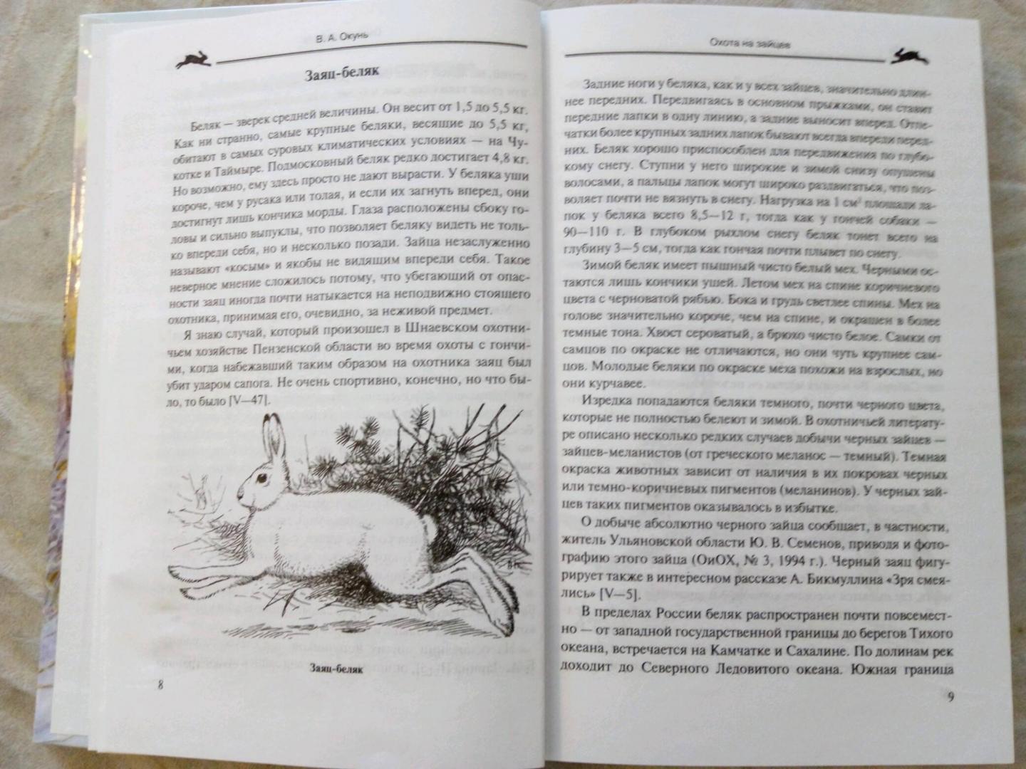 Иллюстрация 8 из 10 для Охота на зайцев - Владислав Окунь | Лабиринт - книги. Источник: Катеринка A