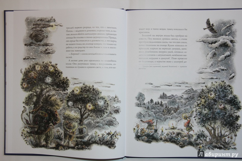 Иллюстрация 11 из 88 для Волшебный холм - Ганс Андерсен | Лабиринт - книги. Источник: SvetlanaS