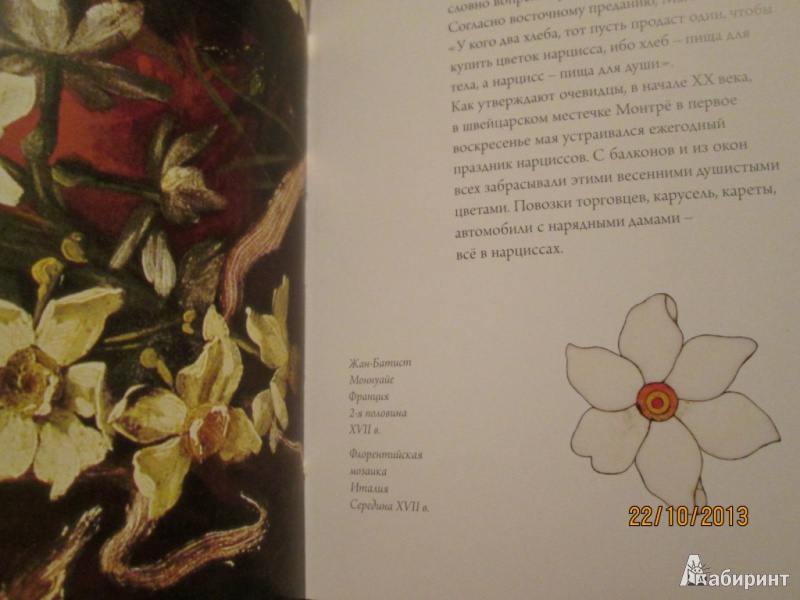 Иллюстрация 30 из 58 для Любовь к ботанике | Лабиринт - книги. Источник: Алонсо Кихано