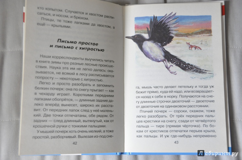 Иллюстрация 14 из 35 для Лесные детёныши - Виталий Бианки | Лабиринт - книги. Источник: Мама  Юля