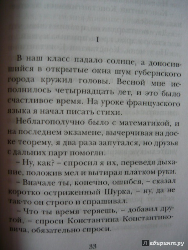 Иллюстрация 7 из 28 для Иван-да-марья - Леонид Зуров | Лабиринт - книги. Источник: Шевцов  Илья