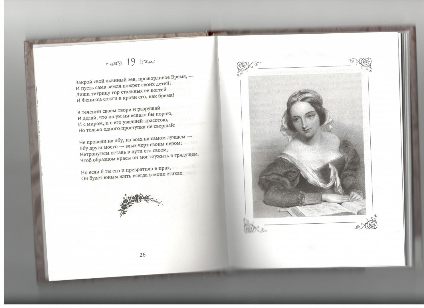 Иллюстрация 2 из 4 для Сонеты - Уильям Шекспир | Лабиринт - книги. Источник: neludimka