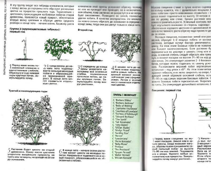 Иллюстрация 5 из 5 для Основные приемы садоводства | Лабиринт - книги. Источник: enotniydrug