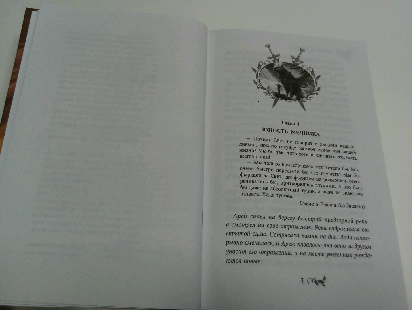 Иллюстрация 5 из 29 для Ошибка грифона - Дмитрий Емец | Лабиринт - книги. Источник: Дива