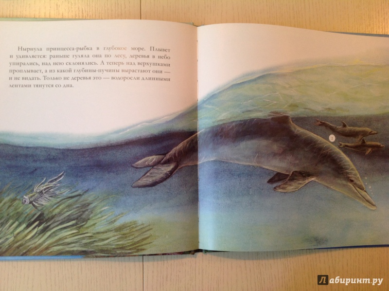 Иллюстрация 12 из 16 для Приключения принцессы-рыбки - Инна Гамазкова | Лабиринт - книги. Источник: Абуева  Екатерина