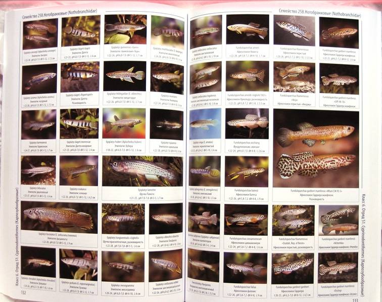Иллюстрация 9 из 11 для Энциклопедия аквариумных рыб | Лабиринт - книги. Источник: Луговая Собачка