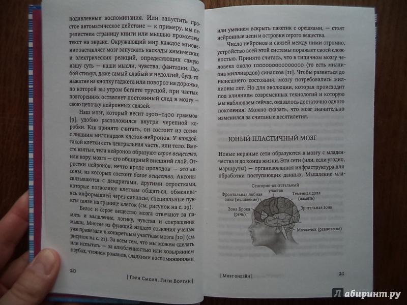 Иллюстрация 9 из 17 для Мозг онлайн. Человек в эпоху Интернета - Смолл, Ворган | Лабиринт - книги. Источник: Kirill  Badulin