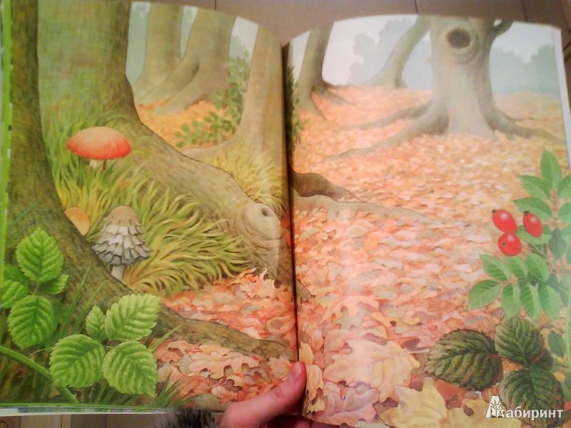 Иллюстрация 7 из 32 для Чудо-наклейки. Мир природы | Лабиринт - книги. Источник: Мила