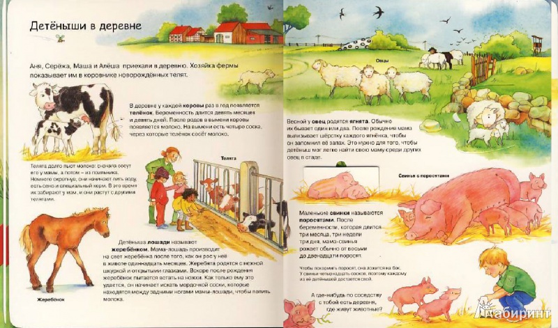 Иллюстрация 4 из 28 для Детеныши животных | Лабиринт - книги. Источник: Мила