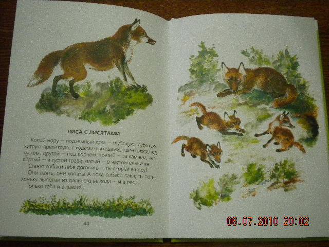 Иллюстрация 14 из 55 для Болтливая сорока - Евгений Чарушин | Лабиринт - книги. Источник: Девушка с кошкой