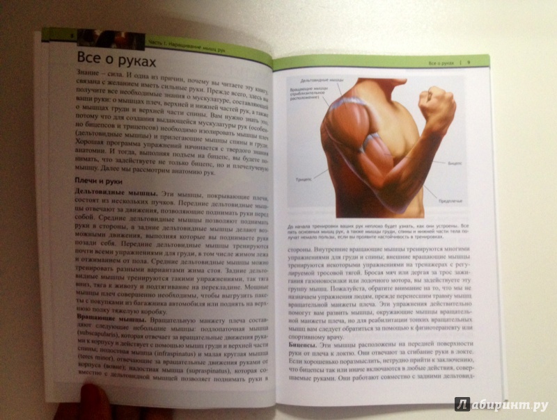 Иллюстрация 8 из 44 для Лучшее от Men's Health. Руки | Лабиринт - книги. Источник: Forlani