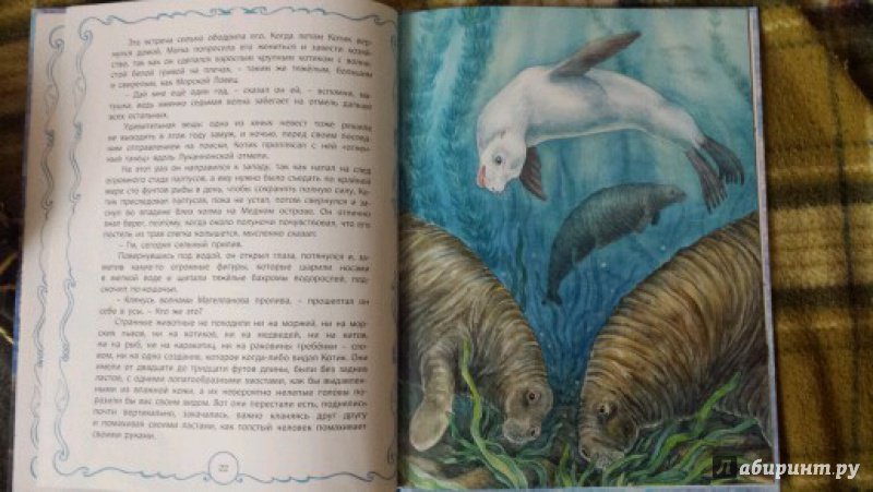 Иллюстрация 41 из 45 для Белый котик - Редьярд Киплинг | Лабиринт - книги. Источник: love-ka2007