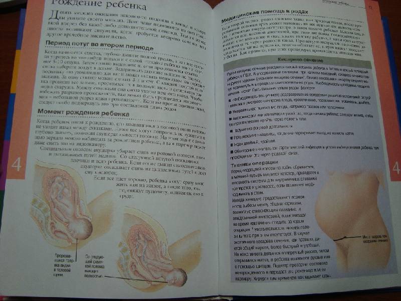 Иллюстрация 12 из 13 для Беременность от зачатия до родов | Лабиринт - книги. Источник: Константин Александрович