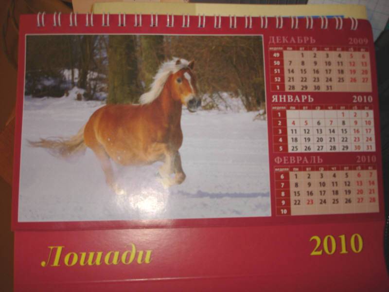 Иллюстрация 1 из 2 для Календарь 2010 "Лошади" (19909) | Лабиринт - сувениры. Источник: Карпенкова  Татьяна Генриховна