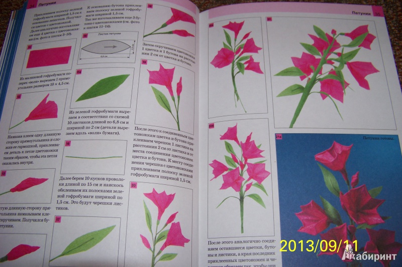 Иллюстрация 10 из 16 для Цветы из гофрированной бумаги - Марина Третьякова | Лабиринт - книги. Источник: G