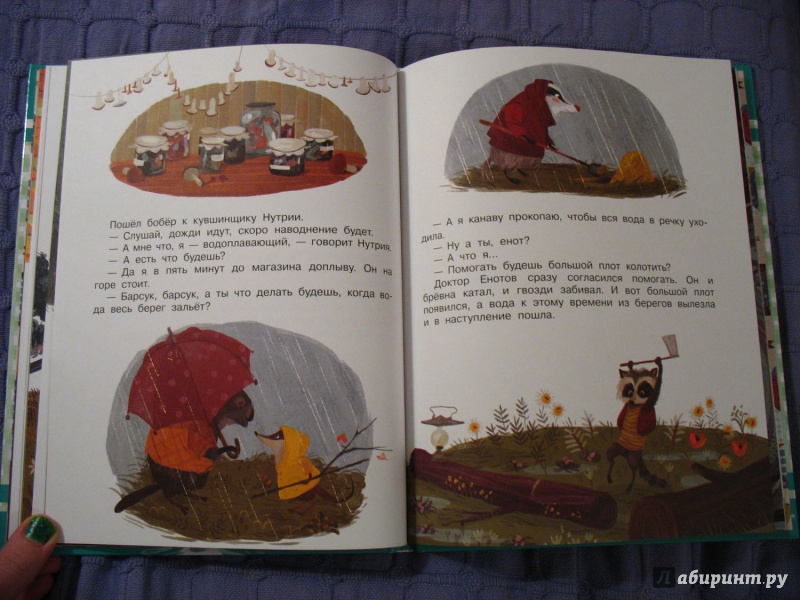 Иллюстрация 10 из 30 для Как ежик иголками торговал. Повесть о наводнении - Эдуард Успенский | Лабиринт - книги. Источник: dar_jan