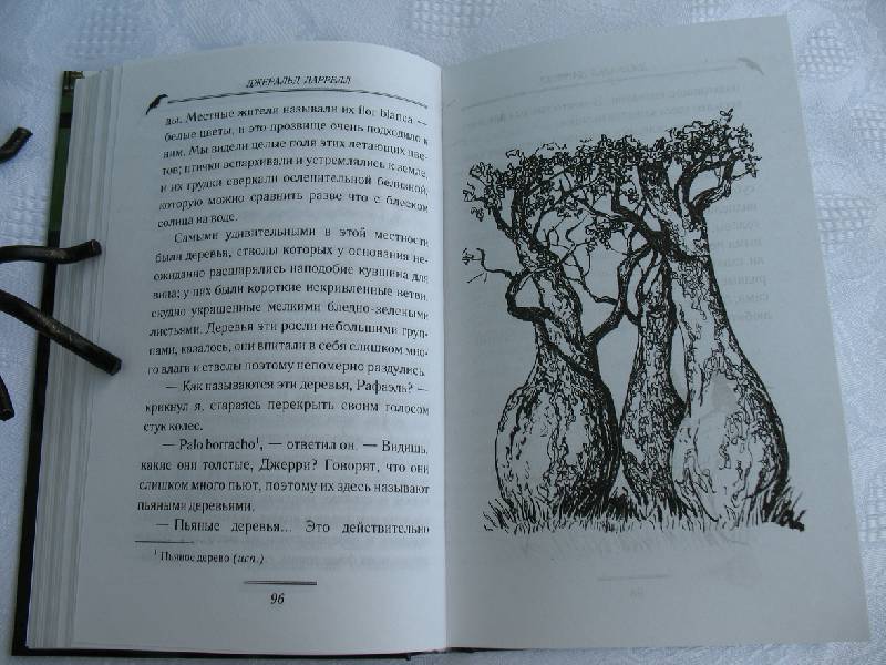 Иллюстрация 18 из 22 для Под пологом пьяного леса - Джеральд Даррелл | Лабиринт - книги. Источник: tayana
