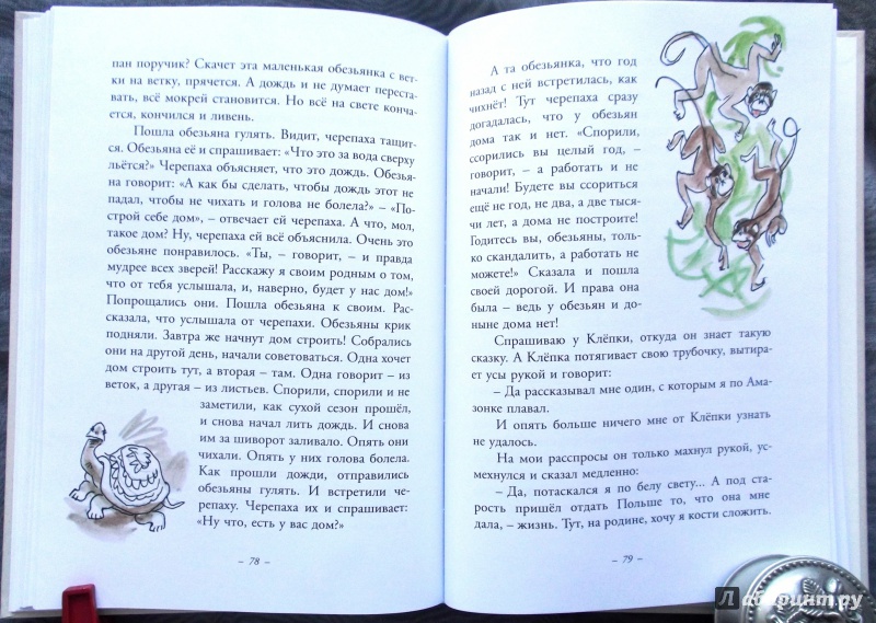 Иллюстрация 40 из 43 для Муха с капризами - Ян Грабовский | Лабиринт - книги. Источник: Агаточка