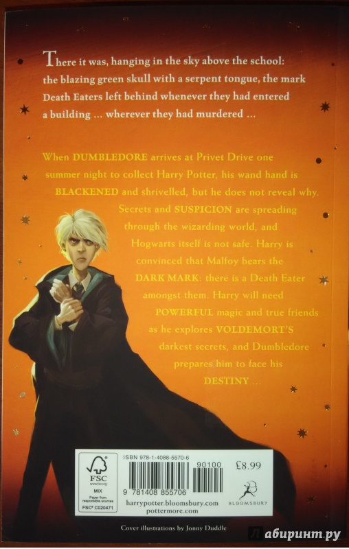 Иллюстрация 23 из 27 для Harry Potter and the Deathly Hallows - Joanne Rowling | Лабиринт - книги. Источник: JTRoth