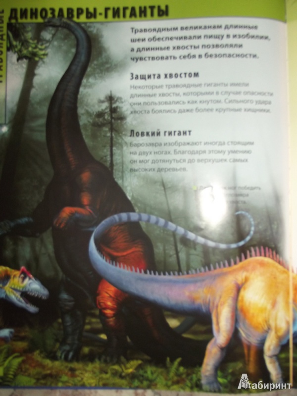 Иллюстрация 4 из 22 для Мир динозавров - Барбара Маевская | Лабиринт - книги. Источник: Киреева  Анастасия Сергеевна