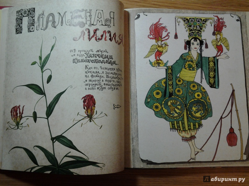 Иллюстрация 44 из 70 для Книга, найденная в кувшинке - Светлана Дорошева | Лабиринт - книги. Источник: Olga