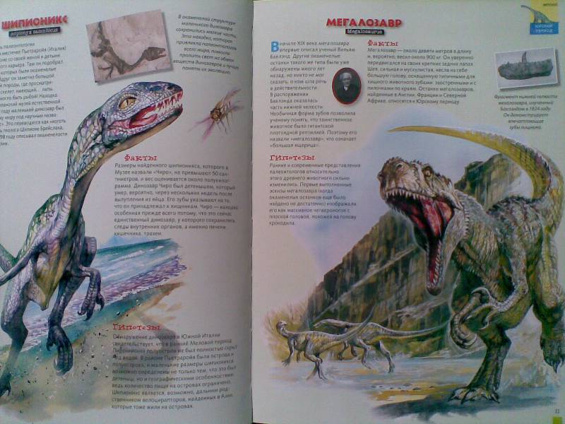 Иллюстрация 7 из 23 для Тираннозавр & Ко - М. Банфи | Лабиринт - книги. Источник: Мельникова  Светлана Сергеевна
