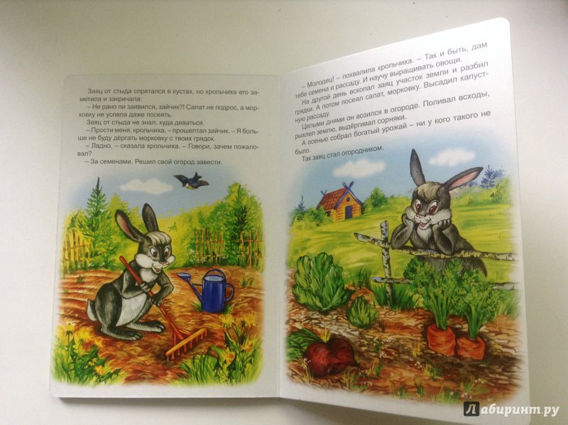 Иллюстрация 9 из 24 для Лесной огород - Н. Притулина | Лабиринт - книги. Источник: Лабиринт