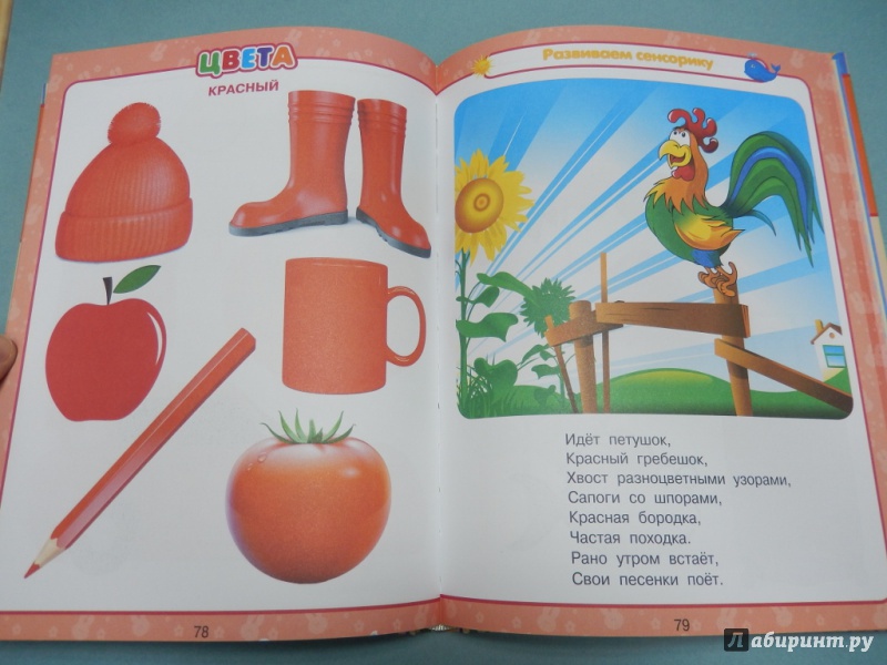 Иллюстрация 10 из 45 для Всё, что нужно знать малышам от 1 до 3 лет - Попова, Никитенко | Лабиринт - книги. Источник: dbyyb