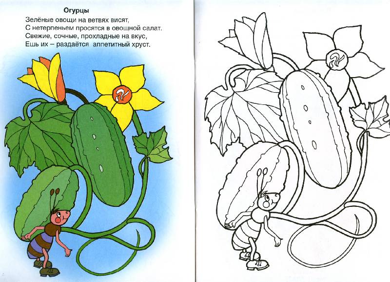 Иллюстрация 3 из 22 для Во саду ли, в огороде - Скребцова, Лопатина | Лабиринт - книги. Источник: Росинка