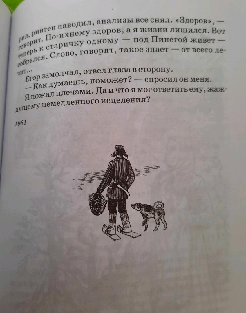 Иллюстрация 53 из 54 для О чем плачут лошади - Федор Абрамов | Лабиринт - книги. Источник: Лабиринт