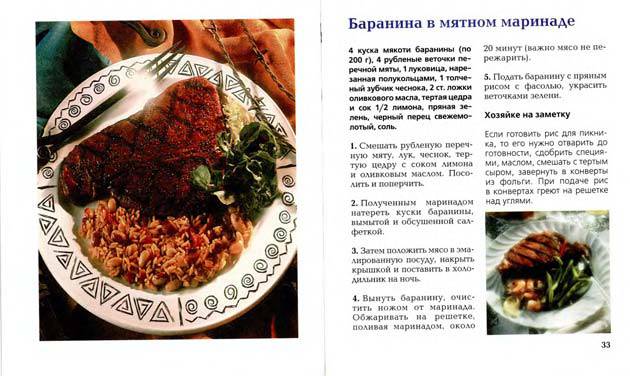 Иллюстрация 27 из 38 для Блюда на открытом огне - Ирина Румянцева | Лабиринт - книги. Источник: Ялина