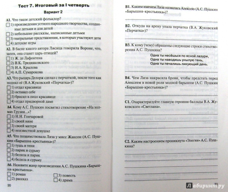 Иллюстрация 16 из 19 для Литература. 7 класс. Контрольно-измерительные материалы. ФГОС | Лабиринт - книги. Источник: Соловьев  Владимир